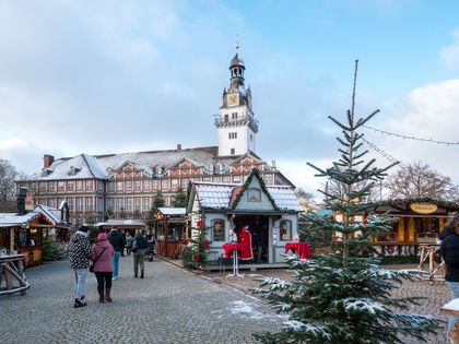 Weihnachtsmarkt vor dem Schloss mit Schneebepuderten Dächern und Tannen