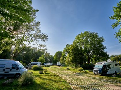 Wohnmobile unter Bäumen bei Sonnenschein