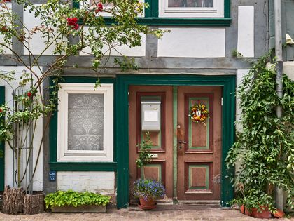 Grün-weißes Fachwerkhaus mit brauner Tür, über das eine Rosenranke wächst