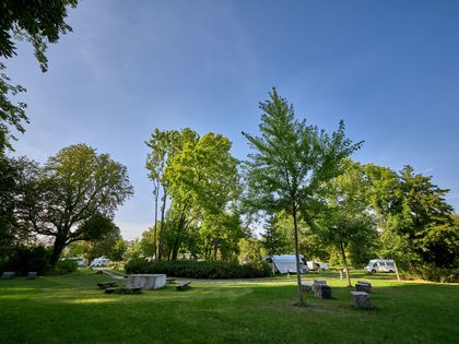 Eine grüne Wiese mit Sitzgelegenheiten, im Hintergrund Bäume und Wohnmobile
